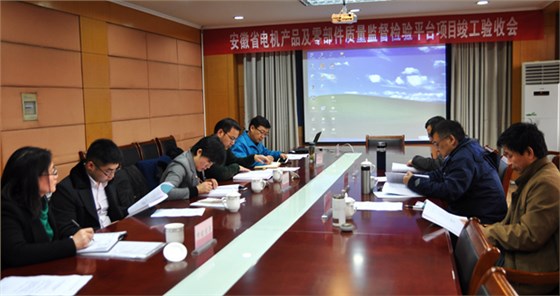 驗(yàn)收專(zhuān)家組查閱相關(guān)資料并質(zhì)詢（皖南電機(jī)）