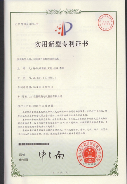 皖南電機(jī)：大軸向力電機(jī)的軸承結(jié)構(gòu)|電機(jī)專(zhuān)利|電動(dòng)機(jī)