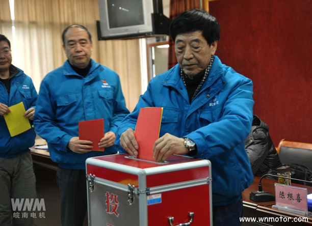 皖南電機(jī)陳根喜、管兵在投票現(xiàn)場