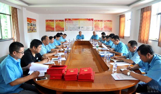 皖南電機(jī)：黨委召開紀(jì)念&ldquo;七一&rdquo;暨&ldquo;兩先一優(yōu)&rdquo;表彰會(huì)