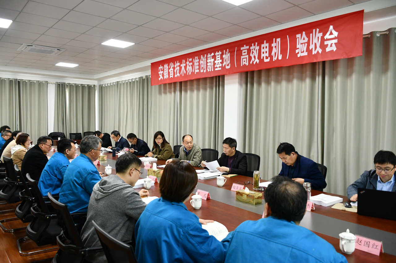 安徽省技術(shù)標準創(chuàng)新基地（高效電機）